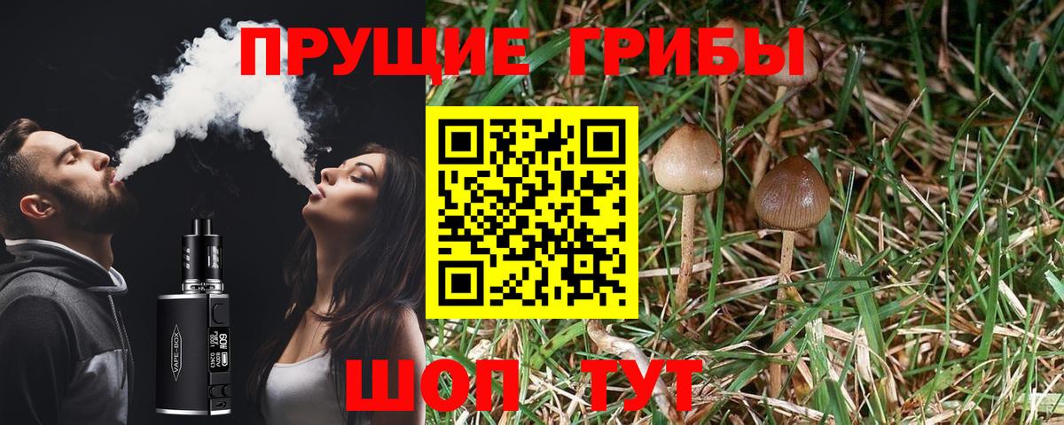 Галлюциногенные грибы ЛСД Канск