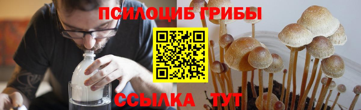 Канск  Галлюциногенные грибы Psilocybine cubensis  Вход с VPN  Галлюциногенные грибы Psilocybe 